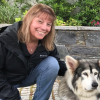 jazzyscrapper1