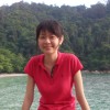 XingYing