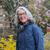 Nancy K Rodeberg