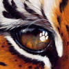 bfralix