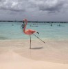 Judith Valerio