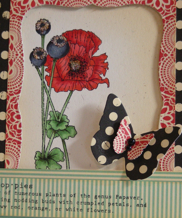 Poppies - Detail