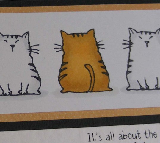 Cattitude - Detail