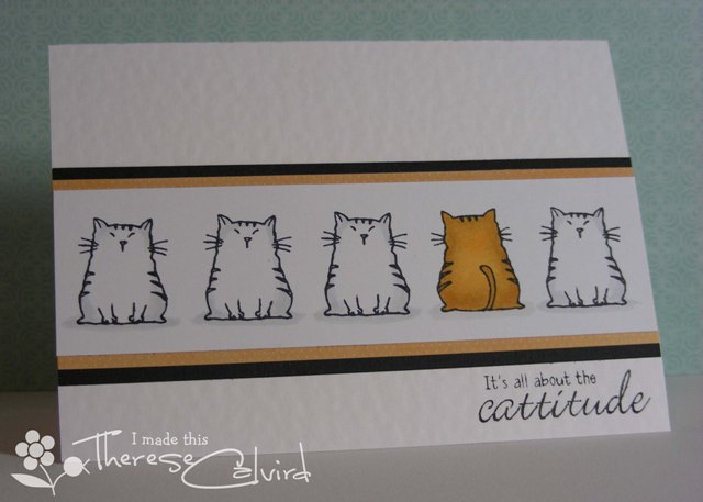 Cattitude
