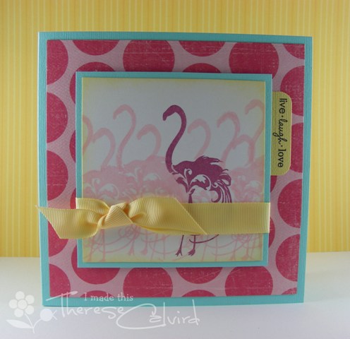 Flamingo Fun