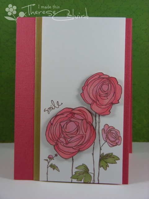 Smile Ranunculus