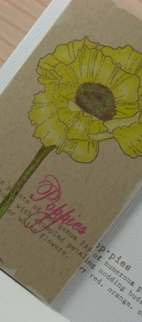 Poppies - Detail