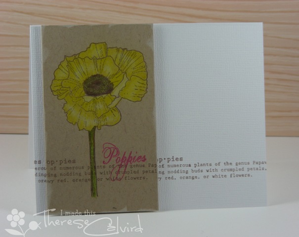 Poppies