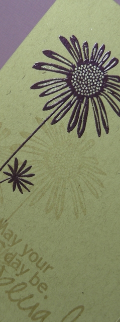 Special Day - Detail