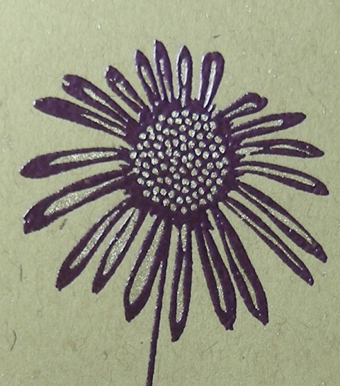 Special Day - Flower Detail
