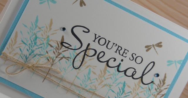 SB Special - Detail