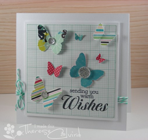 Butterfly Wishes