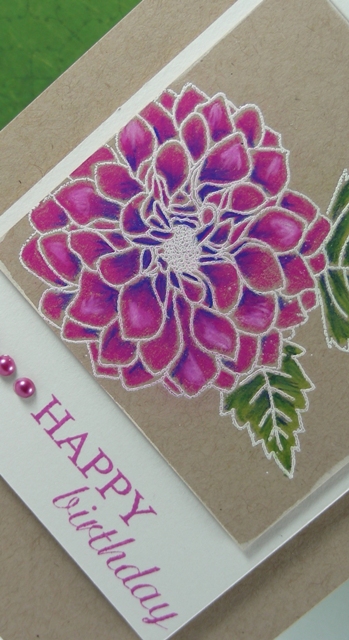 Dahlia Birthday - Detail