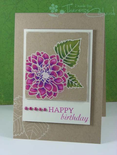 Dahlia Birthday