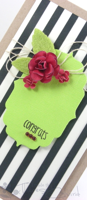 Congrats - Detail