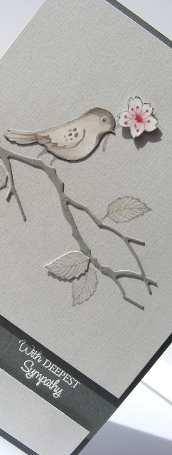 Sympathy - Detail