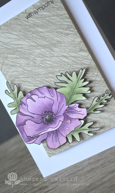 With Sympathy - Detail