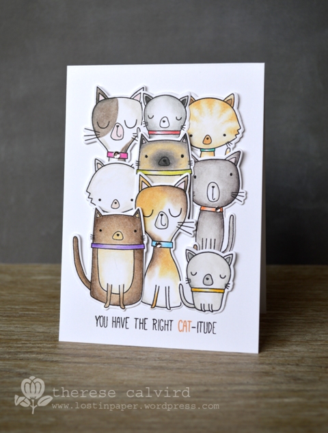 Cat-itude