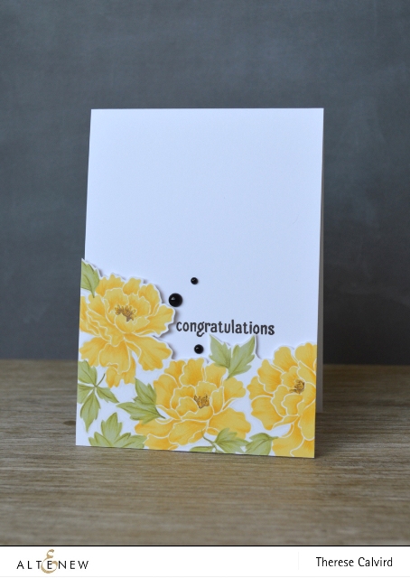 congratulations copy