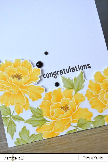 congratulations - Detail copy