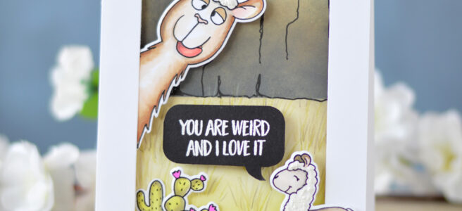 Lostinpaper - Gerda Steiner Designs - Llama Tell You (card video) 1