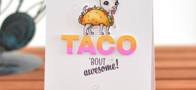 Lostinpaper - Ellen Hutson - Classic Block Alpha - Hero Arts - It's Fiesta Time (card video) 1 copy