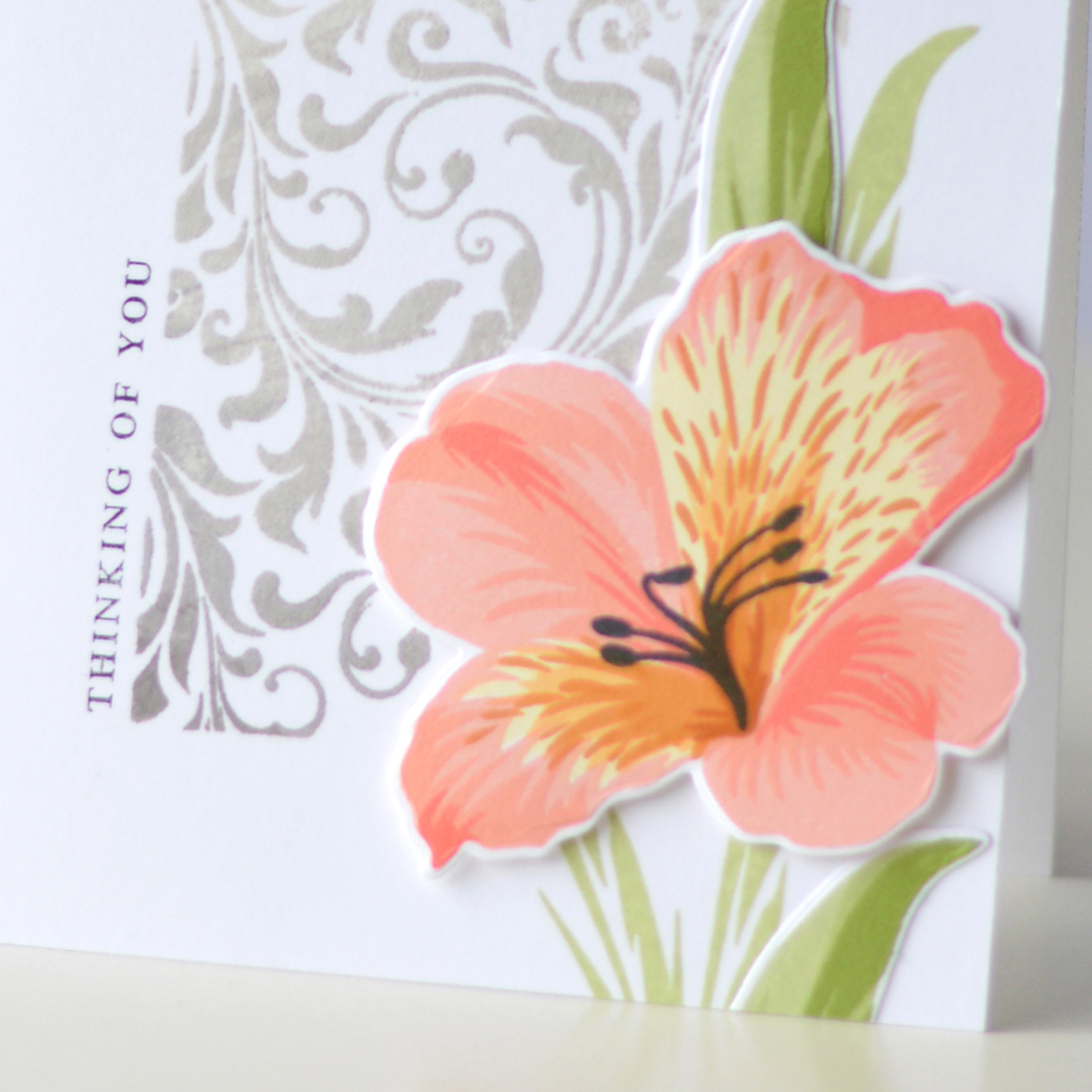 Video : Easy Ombre Background & Giveaway!