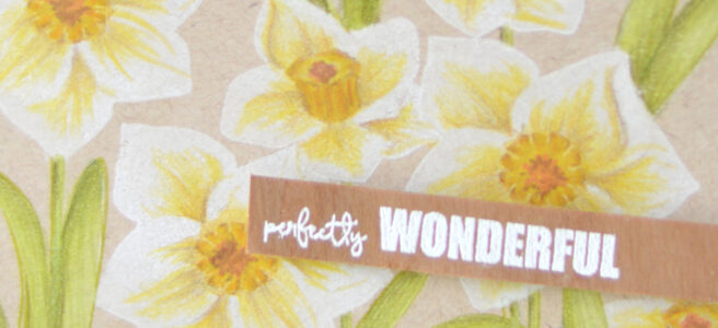 Altenew - BAF Daffodil - You Are - Therese Calvird (card video) 1 copy