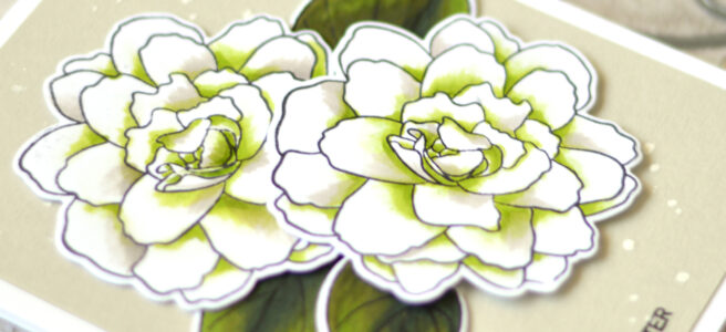 Altenew - Wispy Begonia - Therese Calvird (Take 2 card video) 1 copy