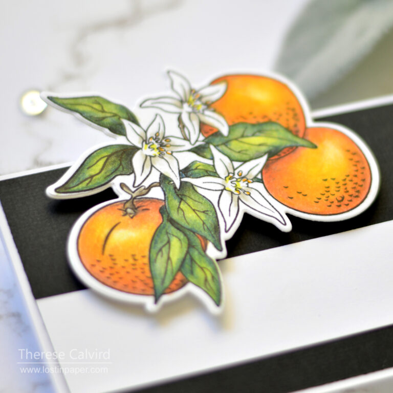 Lostinpaper - Shading with Prismacolors - Fun Stampers Journey - Orange Blossoms (card video) 1