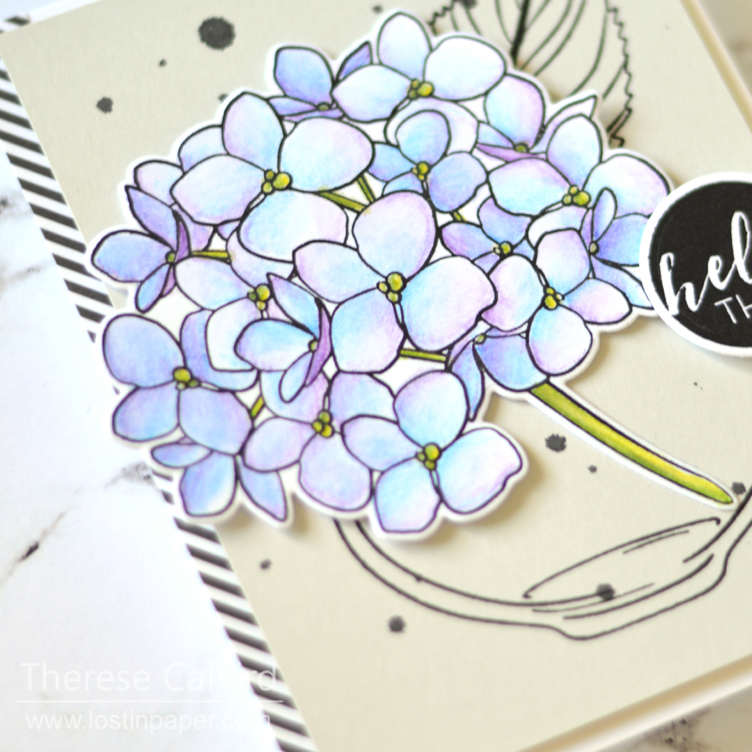 Easy Inktense Pencils on Neenah - Ellen Hutson Mondo Hydrangea - Lostinpaper (card video) 1