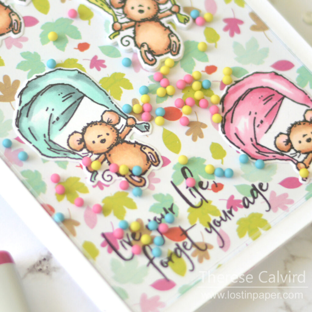 How to Make 5 Fun Critter Shaker Cards - Gimme 5 Video!