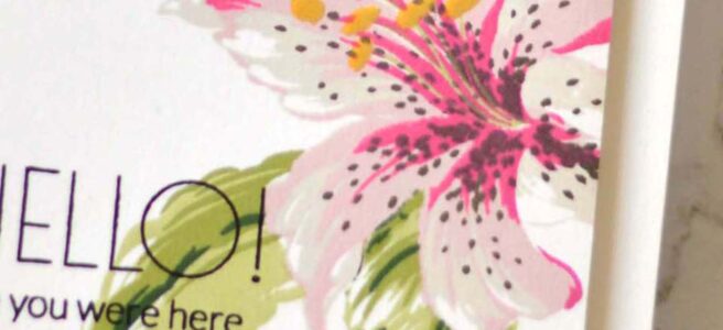 Altenew - Build-A-Flower Stargazer - Therese Calvird (card video) 1 copy