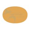 Pumpkin Pie