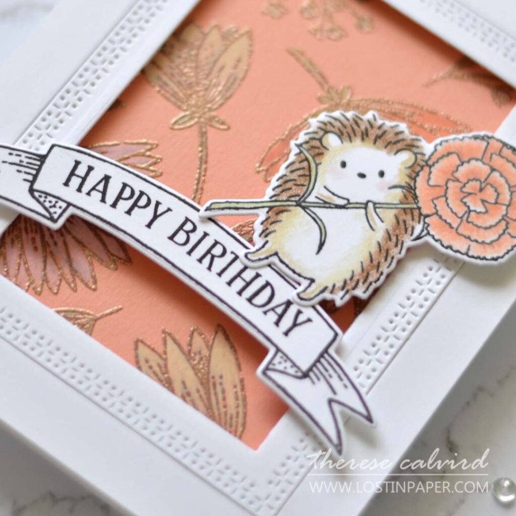 How to Use Stamped A4 Cardstock to Make 5 Cards! - Gimme 5 Video!