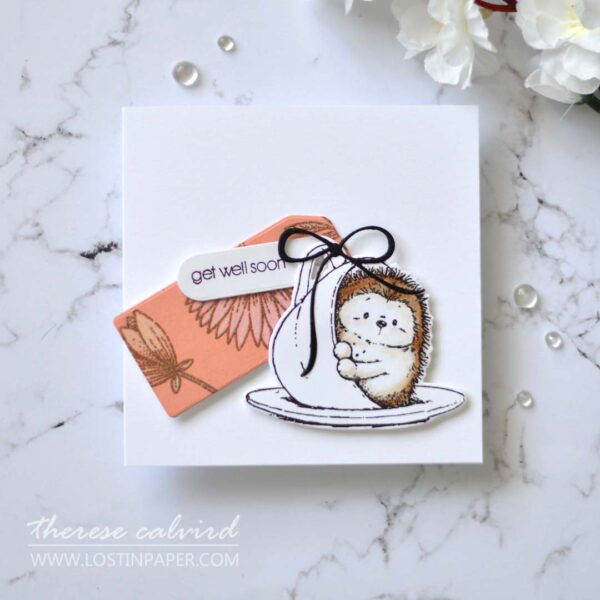 How to Use Stamped A4 Cardstock to Make 5 Cards! - Gimme 5 Video!