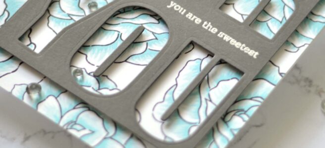 Altenew - BAF Begonia - Hello and Hugs - Therese Calvird (card video) 1 copy