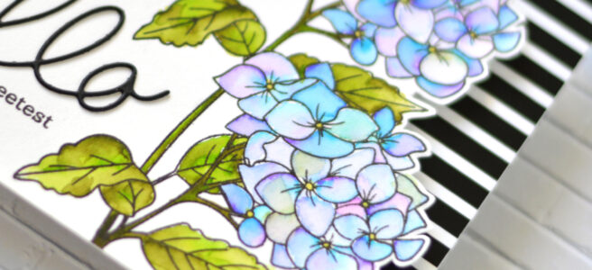 Altenew - Paint A Flower - Hydrangea - Handwritten Hello Die - Therese Calvird (card video) 1 copy