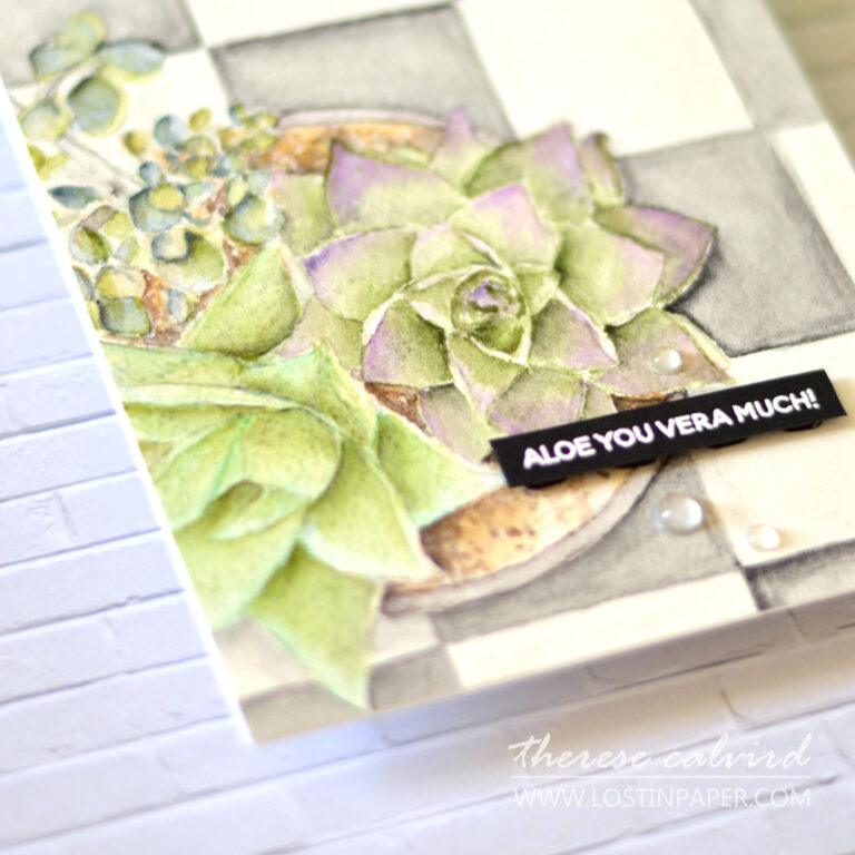 Lostinpaper - Mondo Succulent Pot - Ellen Hutson (card video) 1