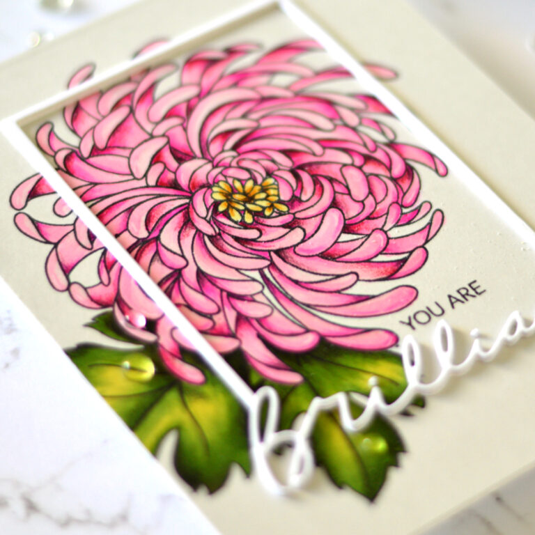Flower Power - Mondo Chrysanthemum - Therese Calvird (card video) 3