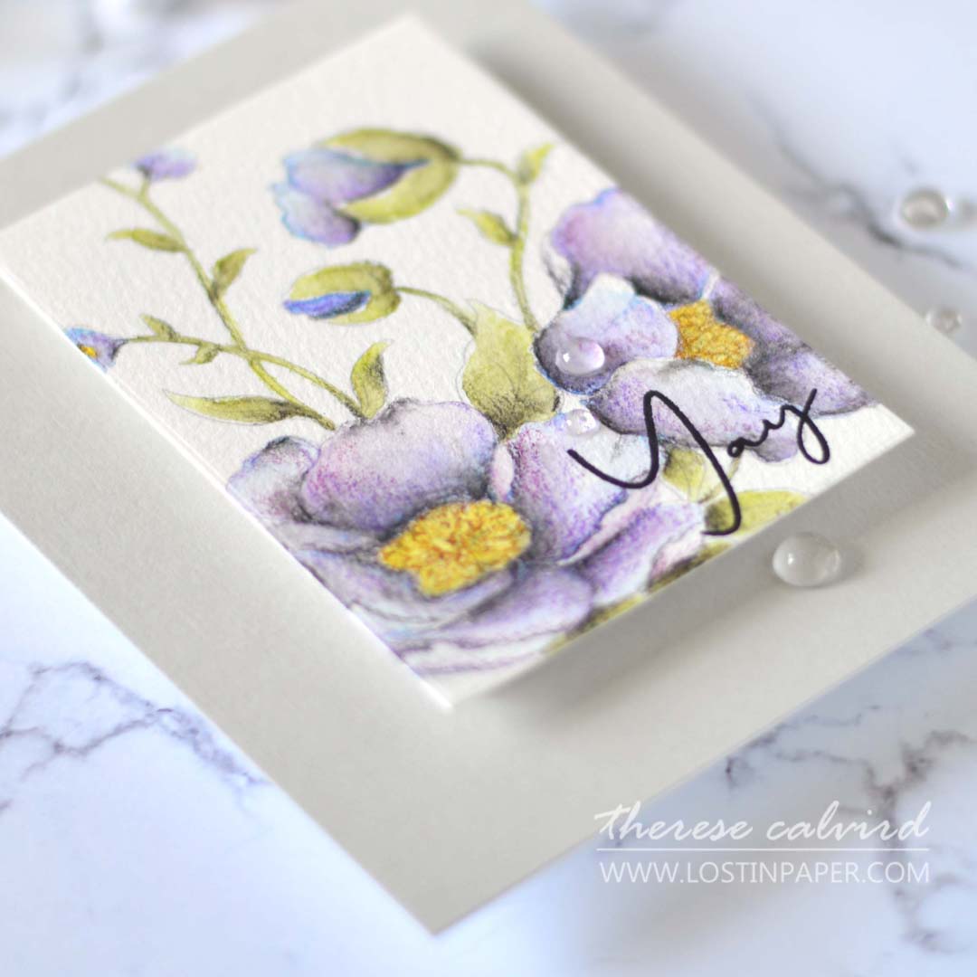 Lostinpaper - Altenew Watercolor Coloring Book - PAF Carnations (card) 1