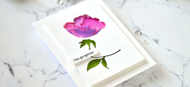 Lostinpaper - Altenew - CAF Buttercup - Delicate Flower Bed - Featured Sentiments Die (card video) 2