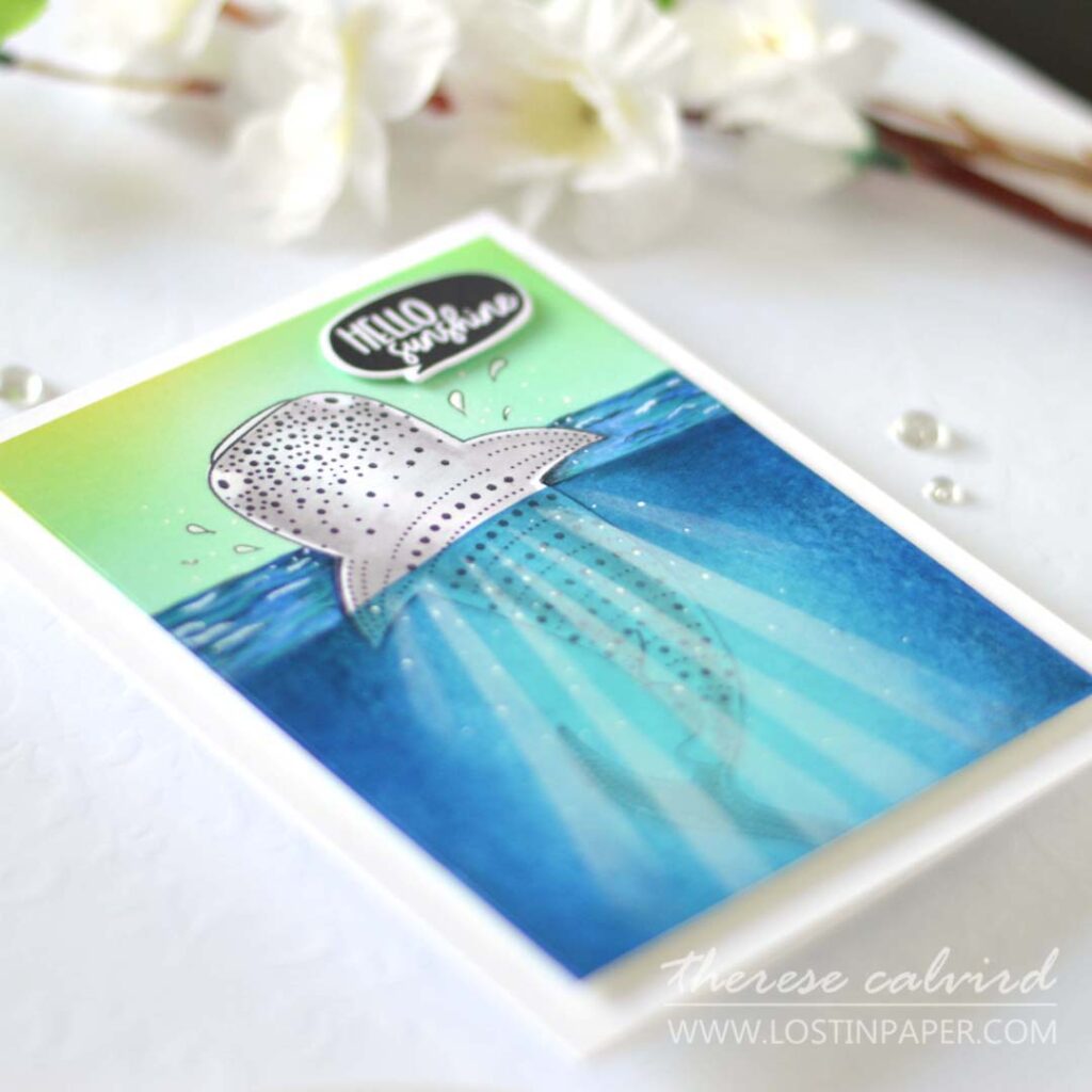 Therese Calvird - Ellen Hutson - Whale Shark - Soak it Up (card) (1)