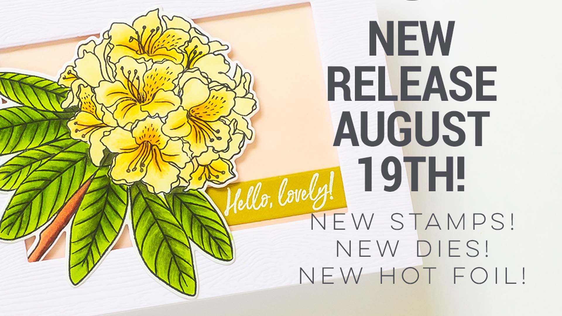 Are You Ready for MORE Peeks at the Ellen Hutson Release!