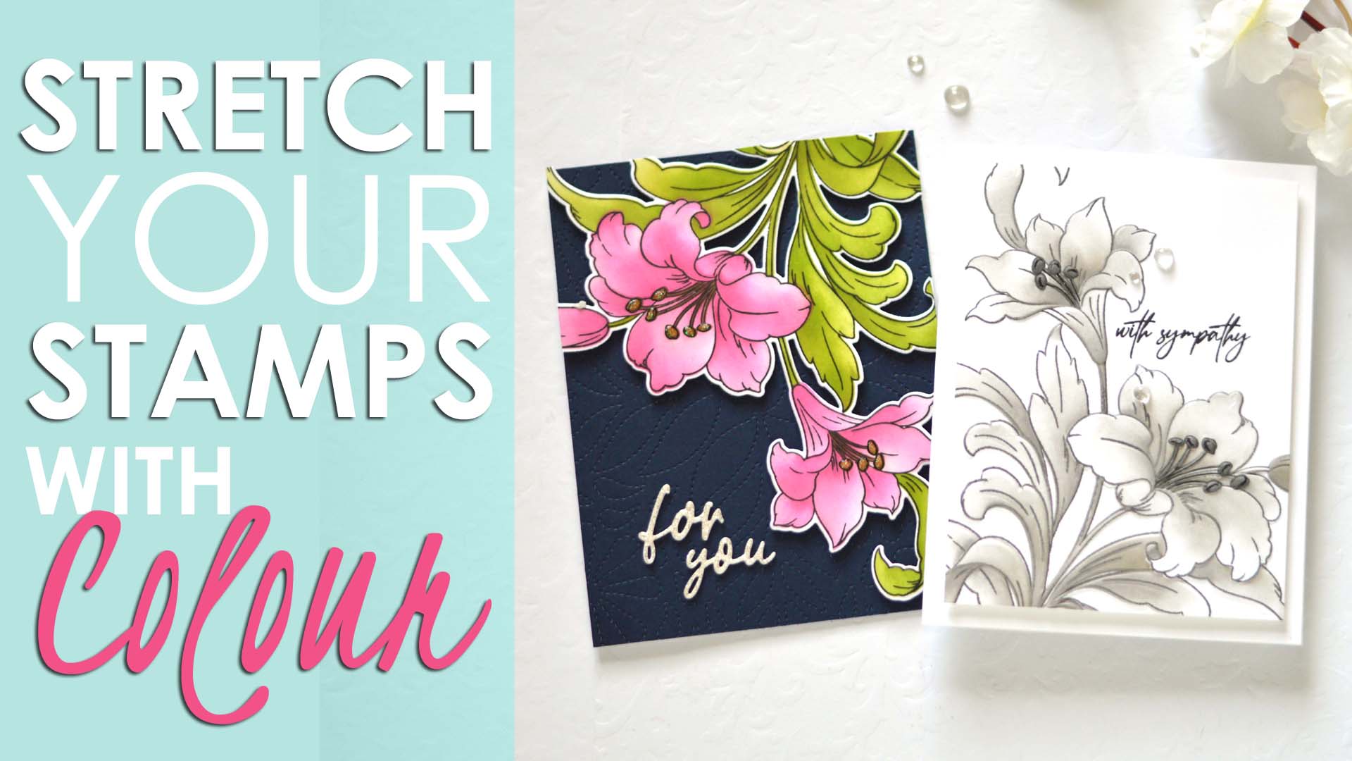 Are You Ready To Stretch Your Stamps With Colour? (Take 2 Video)