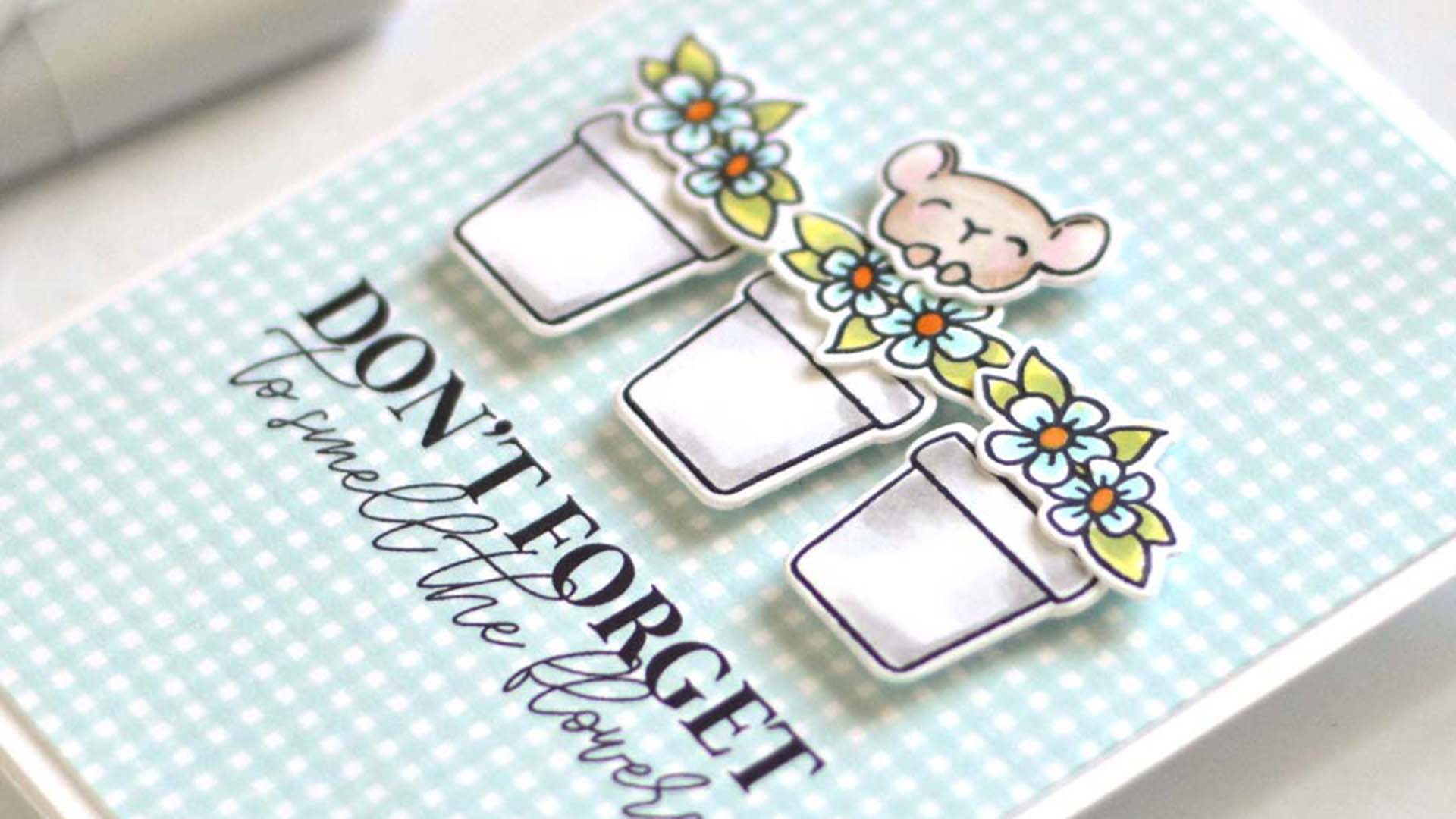 MORE Inspiration? Gingham Background – You’re Onto A Winner!