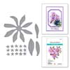 Lavender Mountain Daisy