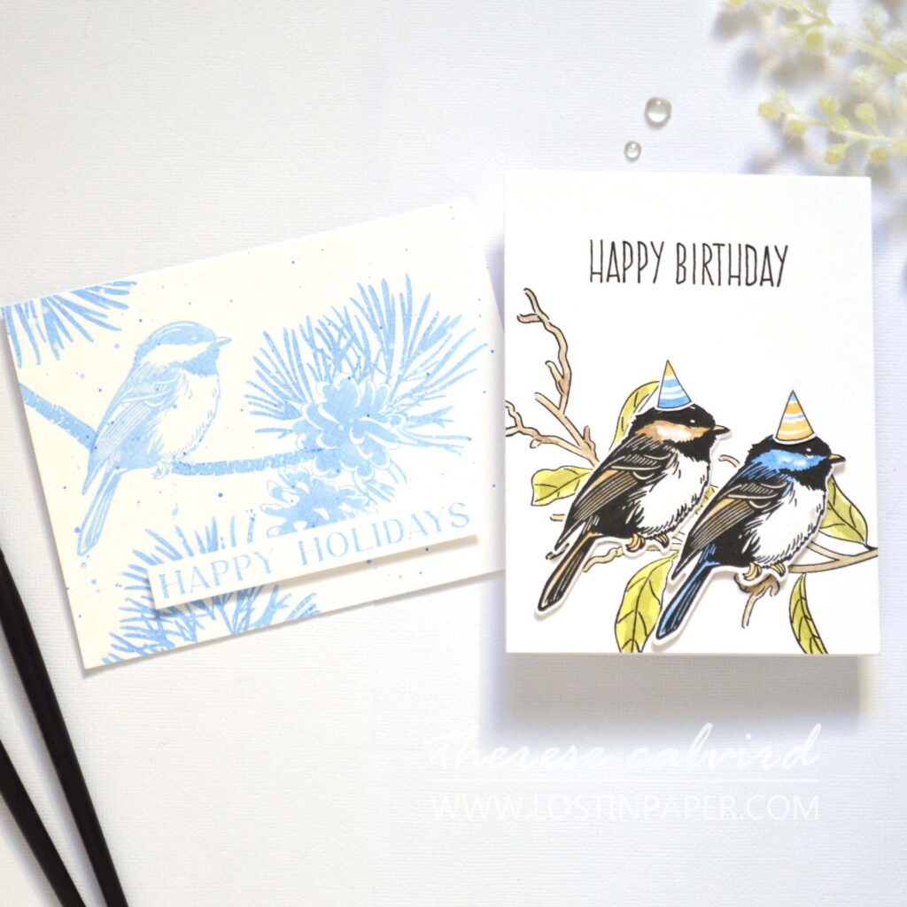 Bird-Themed-Cards-with-Altenew-Stamps-Creative-Ideas-for-Your-Next-Greeting-Card-Take 2 With Therese Calvird
