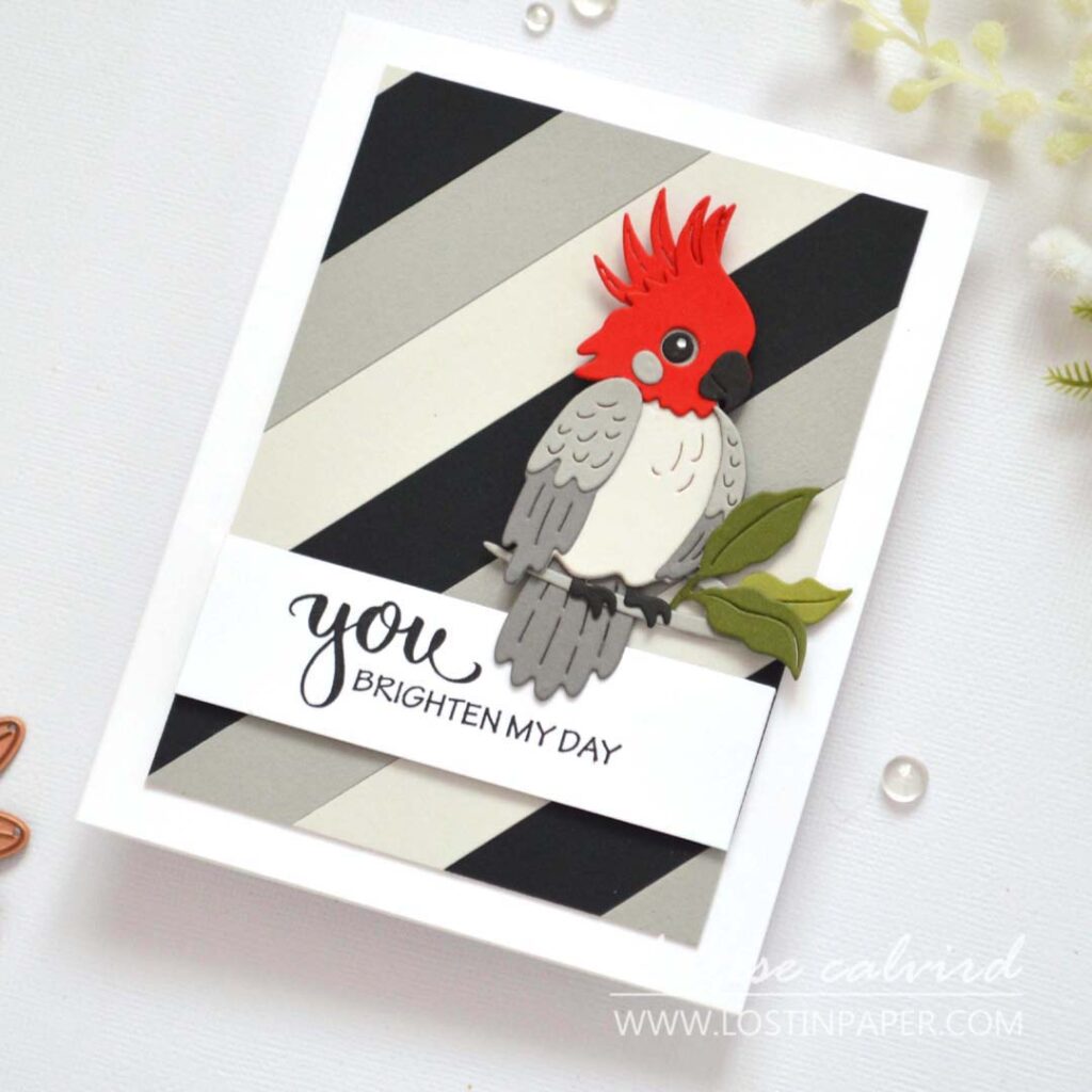 easy-background-cardmaking-techniques-finished-cards-spellbinders-birds - Therese Calvird (card video) (7)