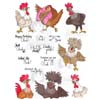 Sassy Chickens  